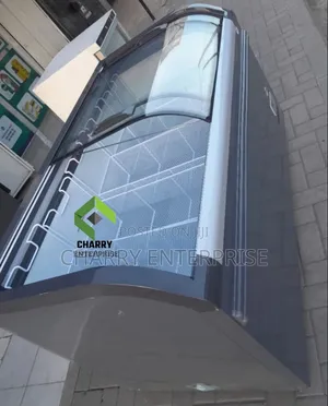 Powerful Commercial Showcase Freezer Best Quality 600l