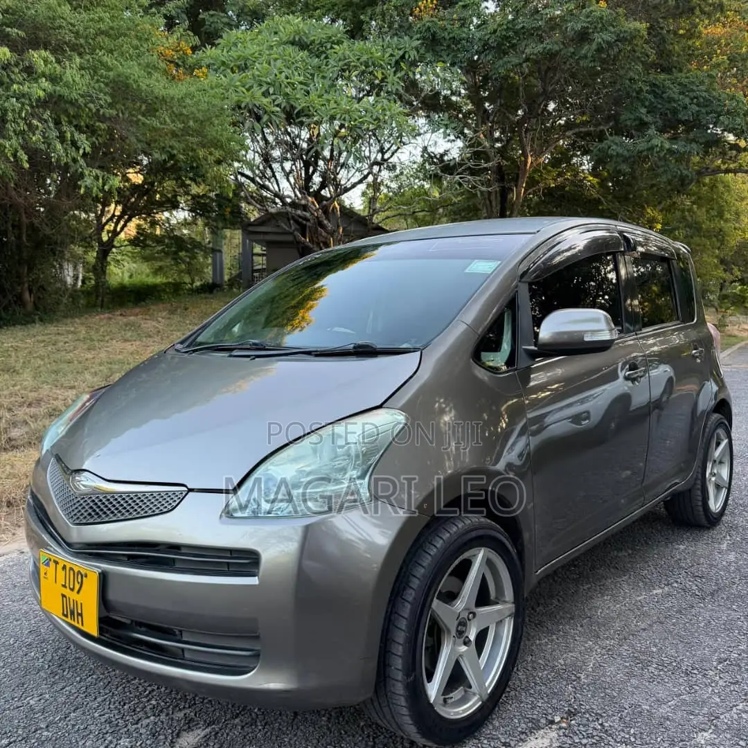 Toyota Ractis 2006 Gray