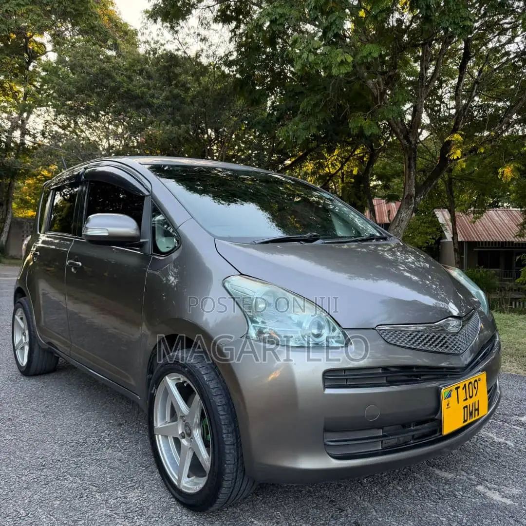 Toyota Ractis 2006 Gray