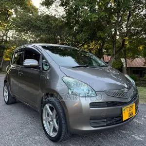 Toyota Ractis 2006 Gray