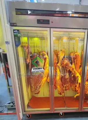 Double Door Meat Display Freezer