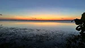 Beach Plot for Sale at Zanzibar