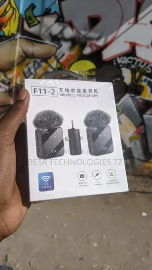 Double Wireless Mic