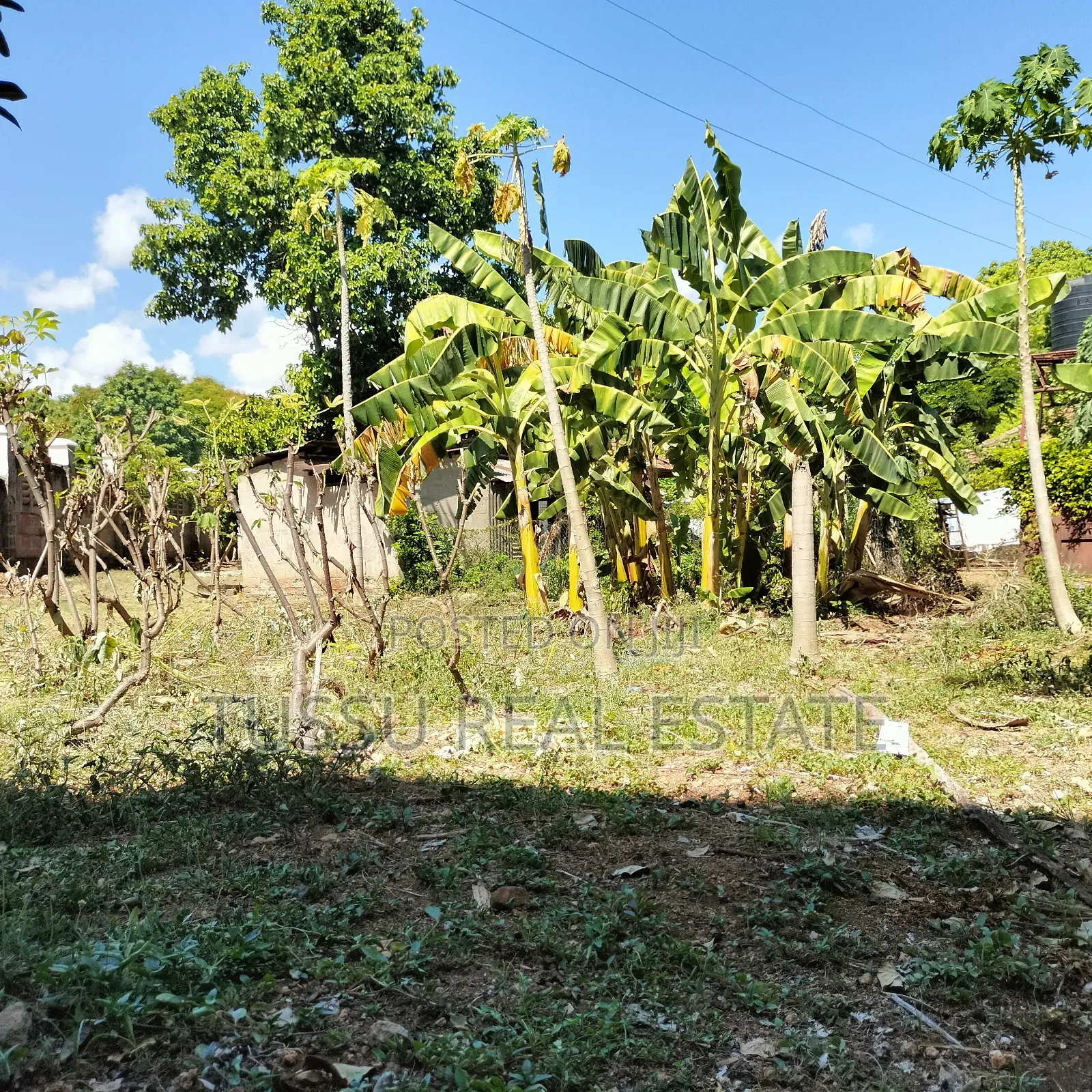 Prime Plot for Sale Oysterbay Bongoyo Street