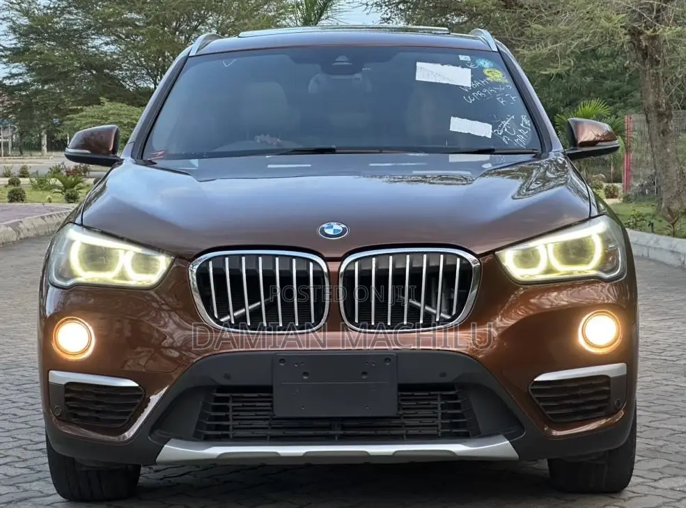 BMW X1 2015 Burgundy