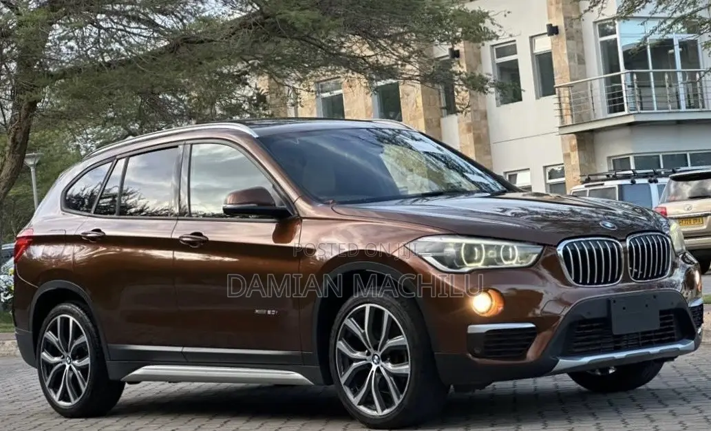 BMW X1 2015 Burgundy