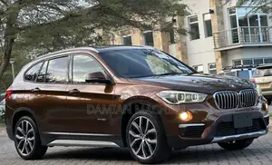 BMW X1 2015 Burgundy