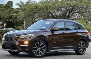BMW X1 2015 Burgundy