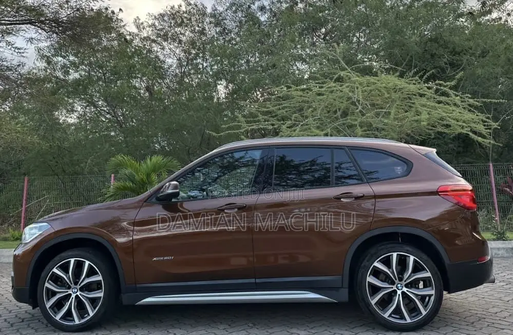 BMW X1 2015 Burgundy