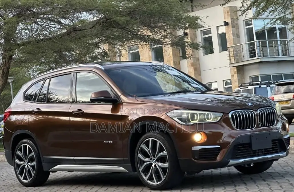 BMW X1 2015 Burgundy