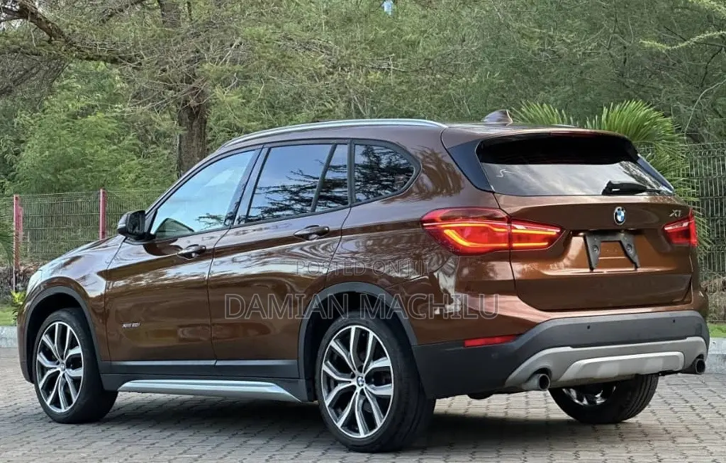 BMW X1 2015 Burgundy