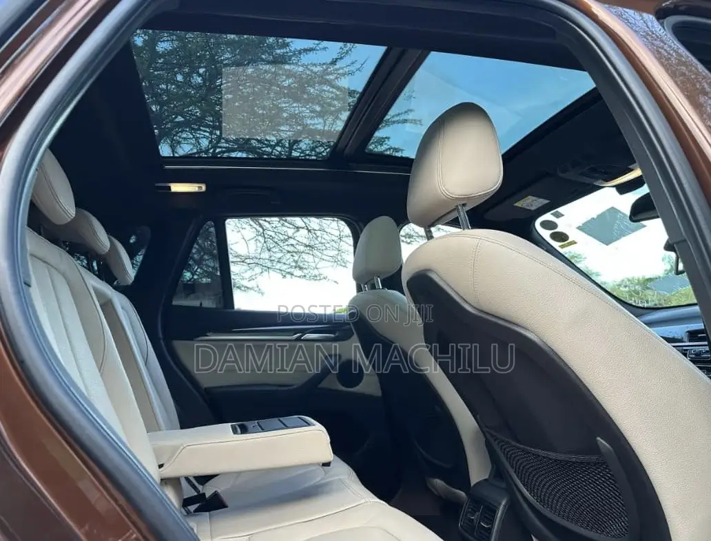 BMW X1 2015 Burgundy