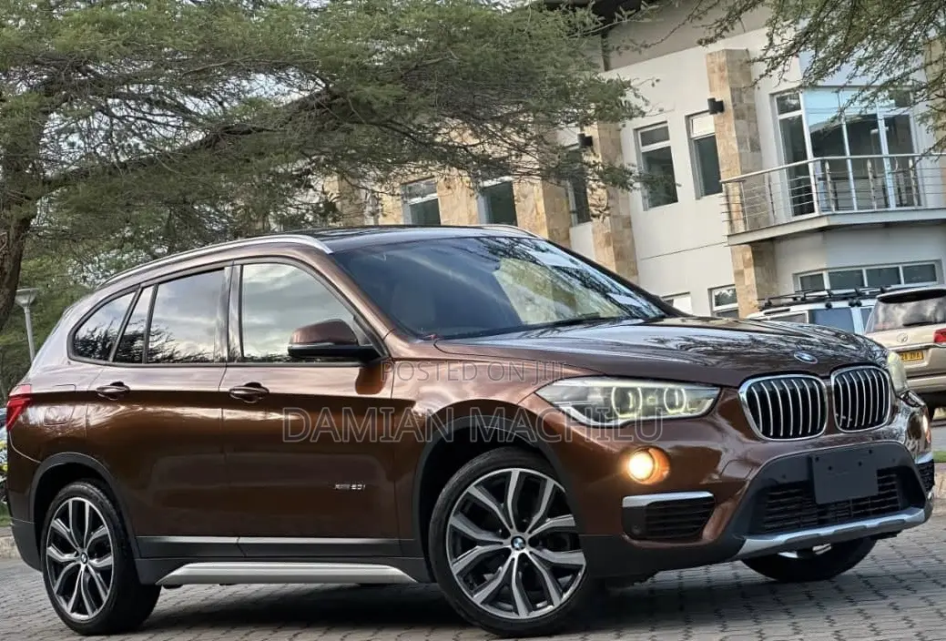 BMW X1 2015 Burgundy