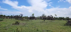 Plots for Sale by Installment in Kigamboni