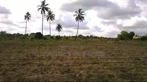 Petrol Station Plot at Toangoma