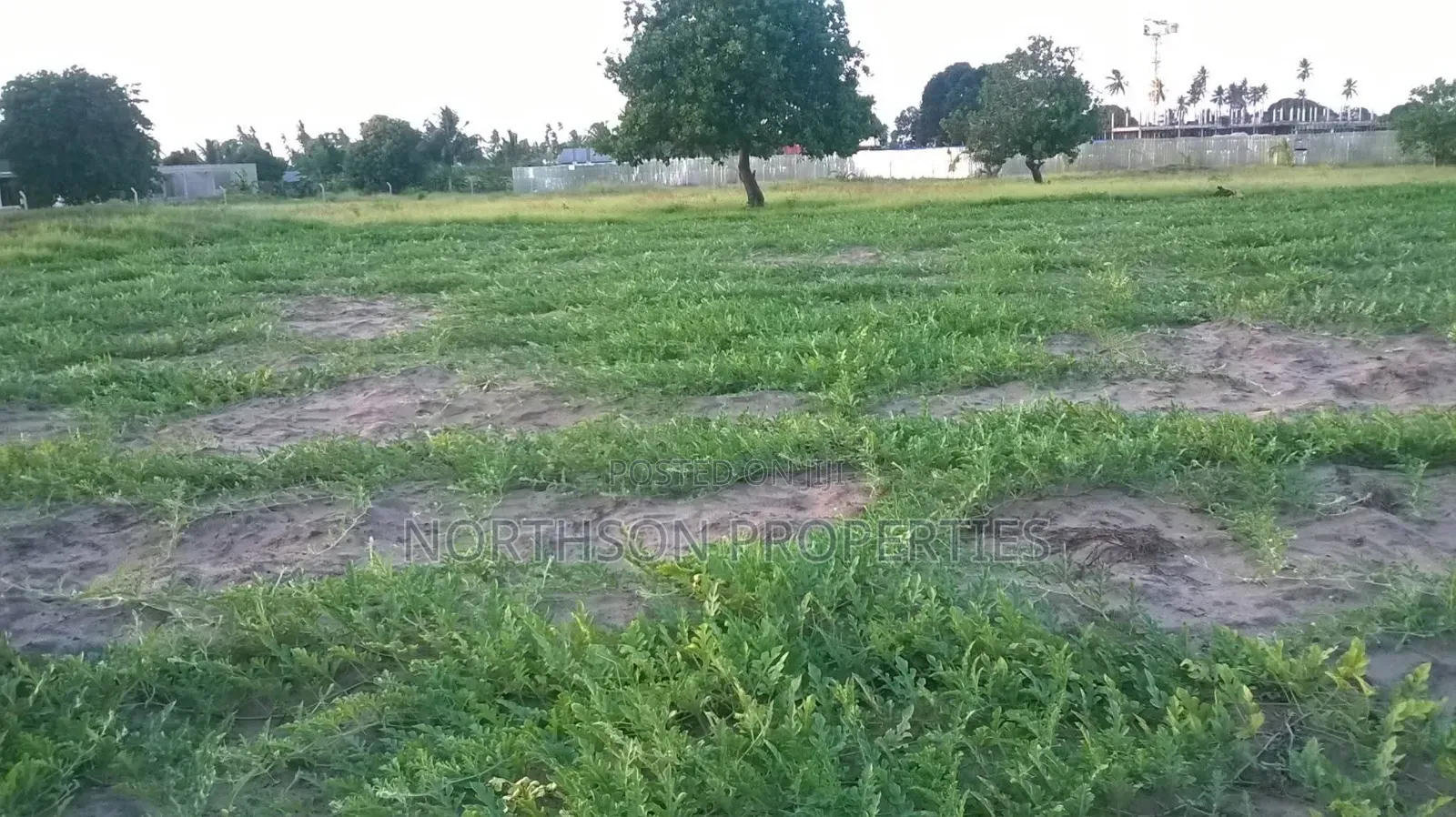 Petrol Station Plot at Toangoma