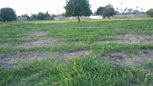 Petrol Station Plot at Toangoma