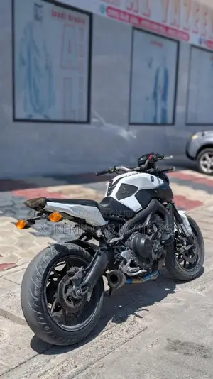 Yamaha FZ 2016 Gray