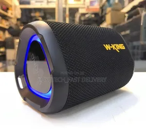 W-King D110 Portable Bluetooth Speaker