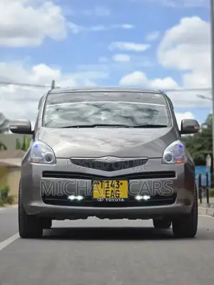 Toyota Ractis 2009 Gray