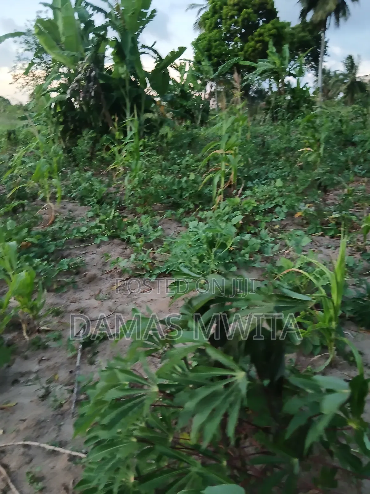 Prime Investment Opportunity at Mkuranga
