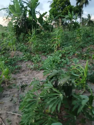Prime Investment Opportunity at Mkuranga
