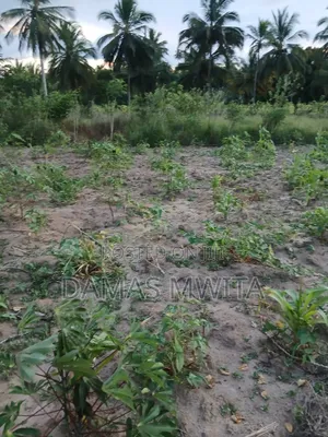 Prime Investment Opportunity at Mkuranga