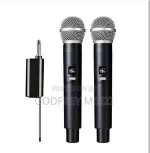 Double Wirelless Microphone