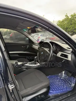 BMW 3 Series 2010 Blue