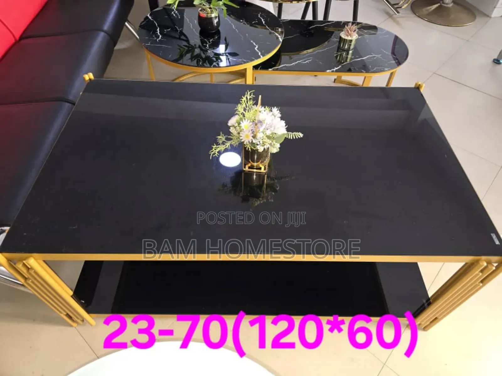 Luxury Dual-Tier Coffee Table