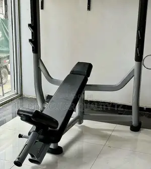Olympic Weight Incline Bench (Heavy Duty)