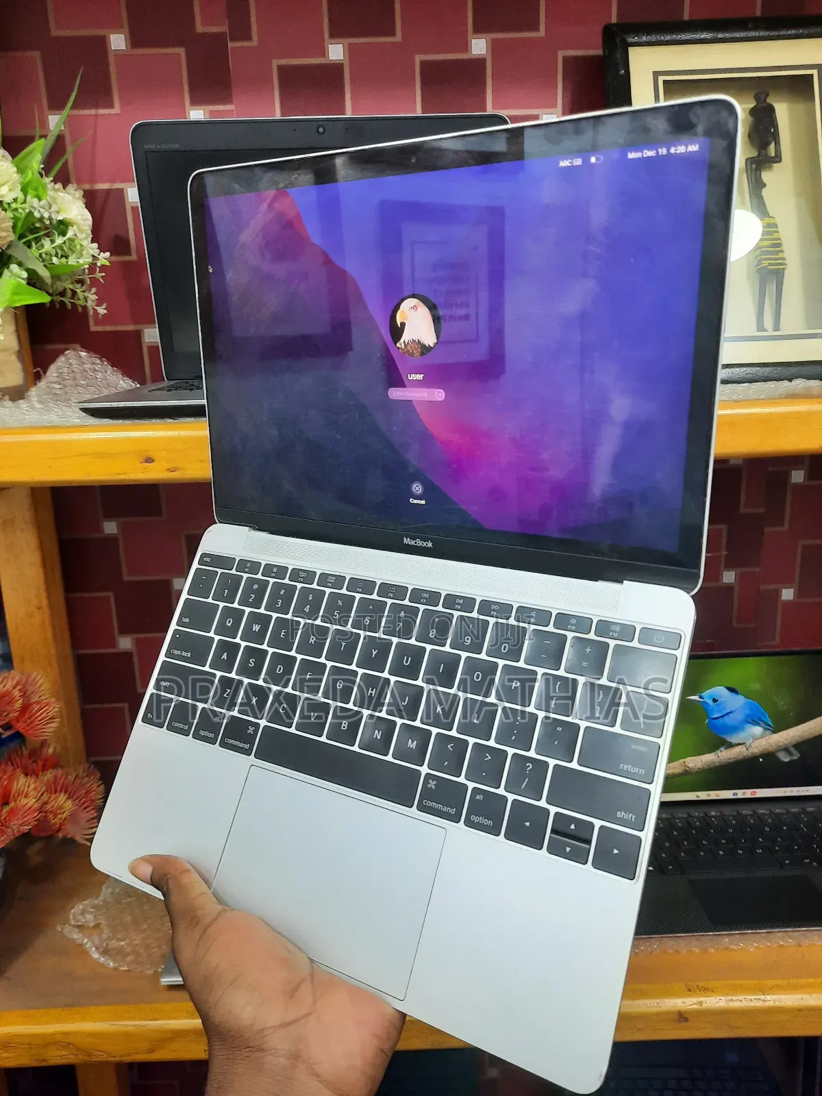 Laptop Apple MacBook 2016 8GB Intel Core M3 SSD 256GB