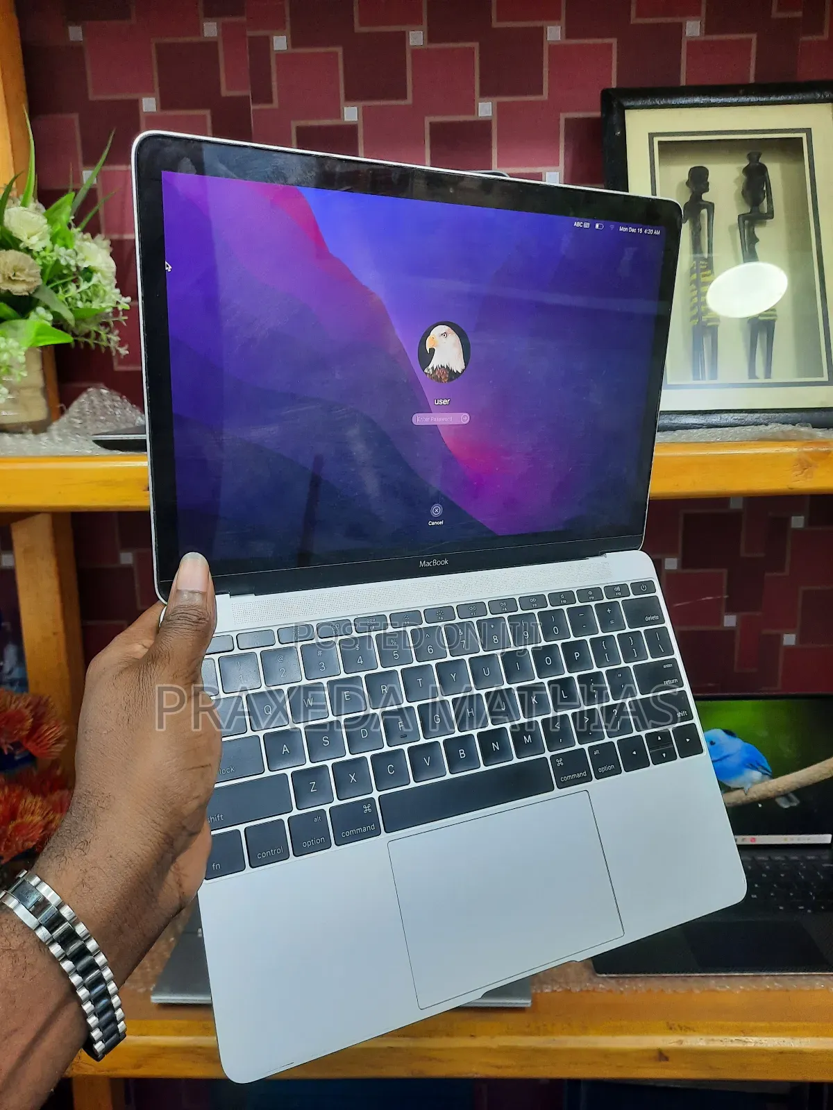 Laptop Apple MacBook 2016 8GB Intel Core M3 SSD 256GB