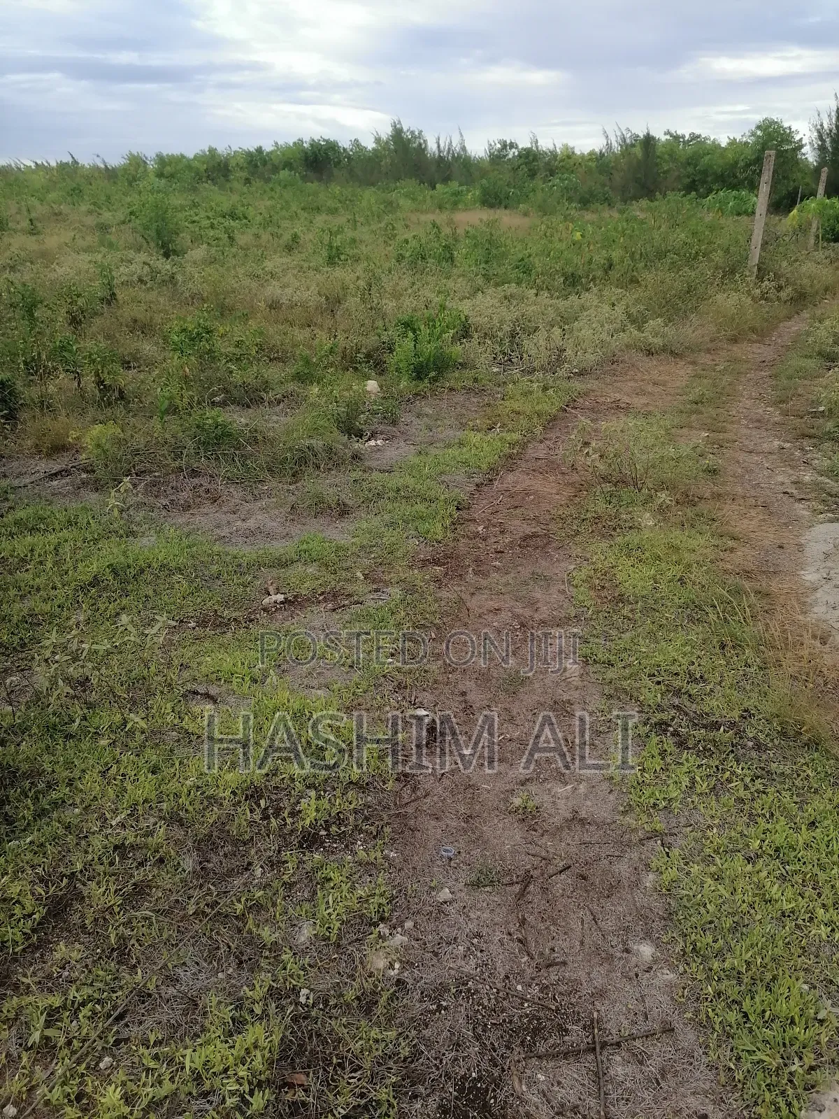 Land for Sale in Michamvi