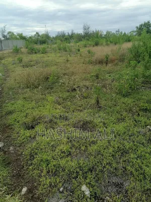Land for Sale in Michamvi