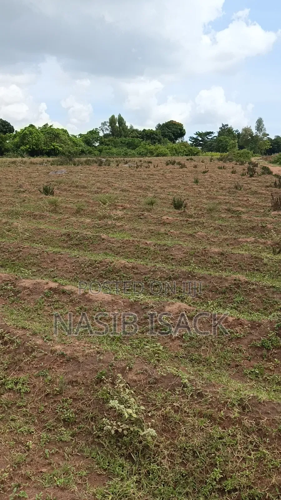Plot for Sale