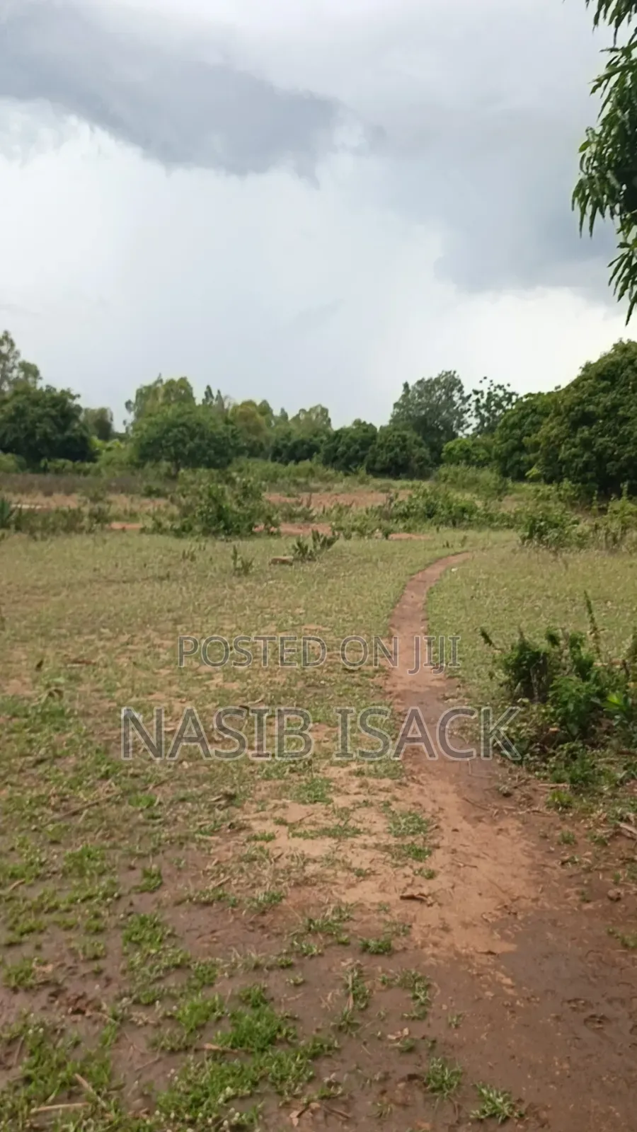 Plot for Sale