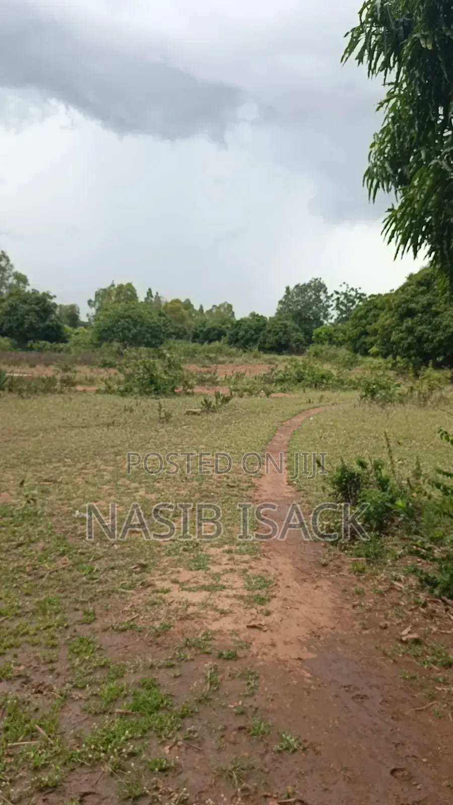 Plot for Sale