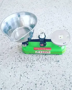 Lion Scale 10kg