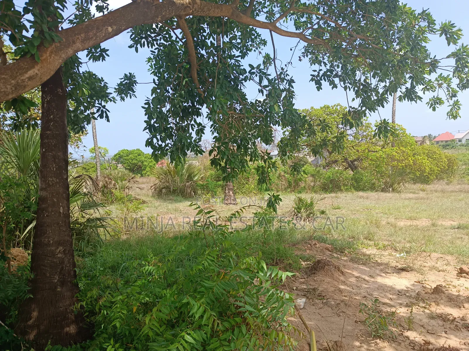 22 Acres Plot For Sale At Saadan National Park