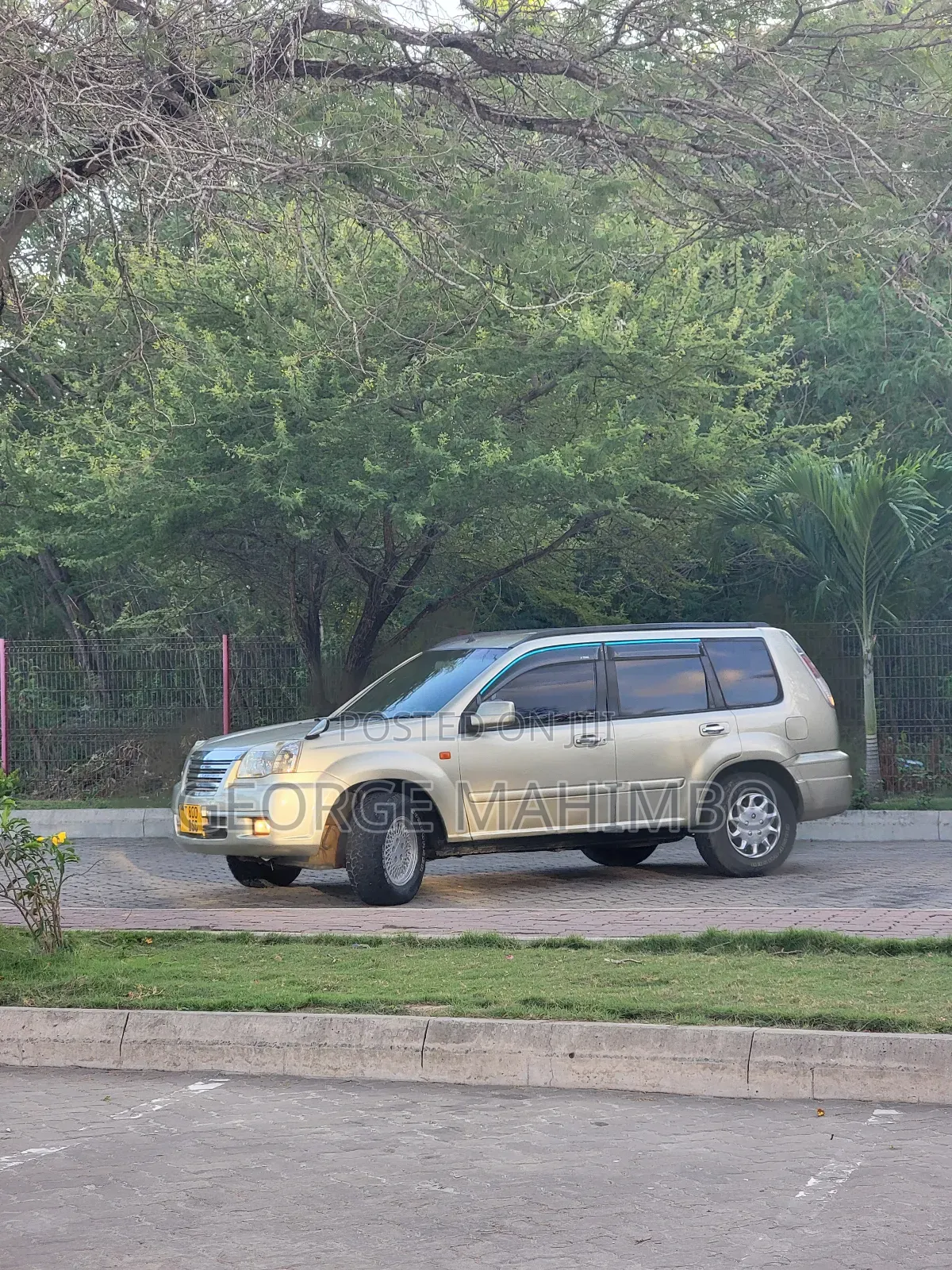 Nissan X-Trail 2005 Silver