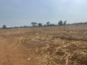 Shamba Linauzwa Kijiji Cha Utamaduni Shabaha Manguzoni Moshi