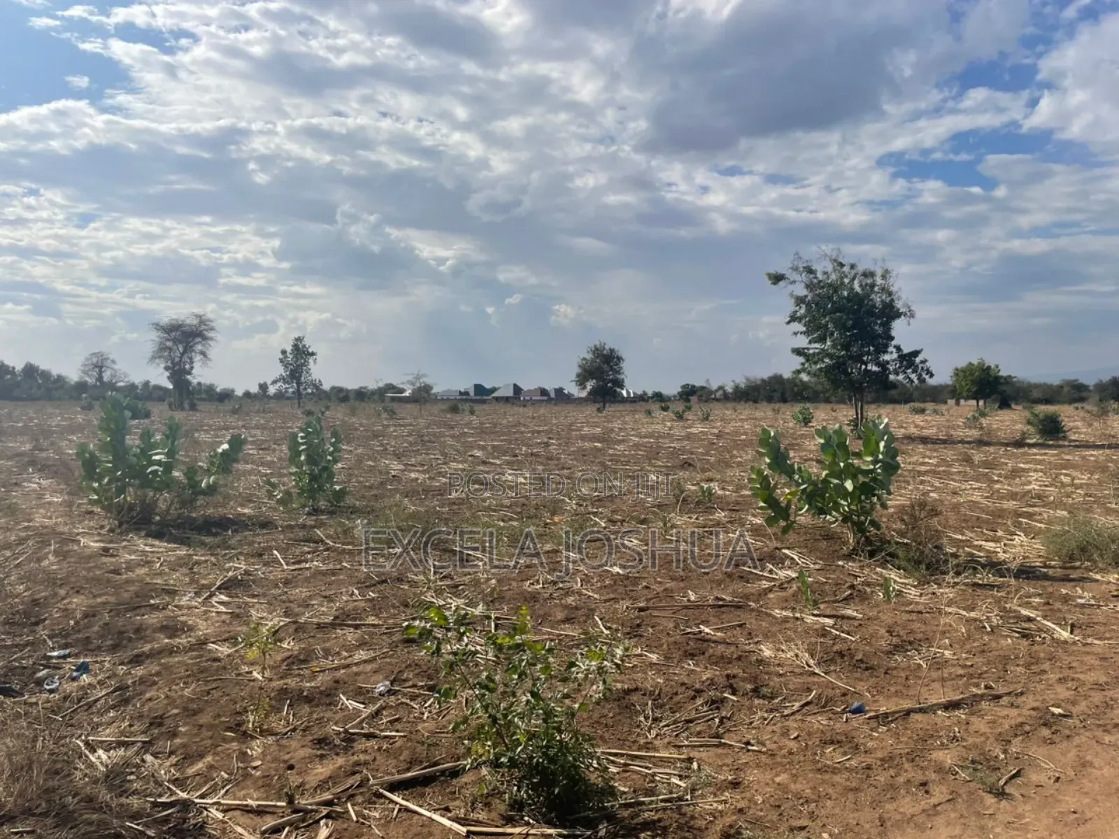 Shamba Linauzwa Kijiji Cha Utamaduni Shabaha Manguzoni Moshi