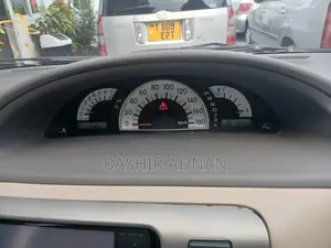 Toyota Raum 2008 Silver