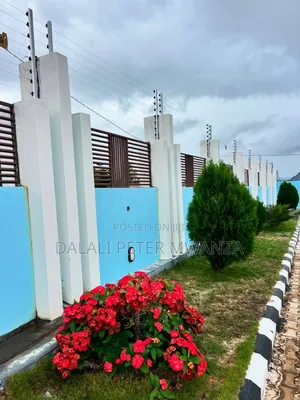 3bdrm House in Dalali Peter, Ilemela for rent