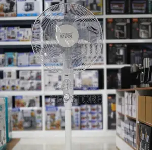 Electruc Floor Fan