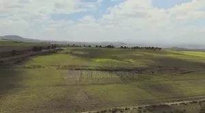 130 Acres for Sale at Kilimanjaro