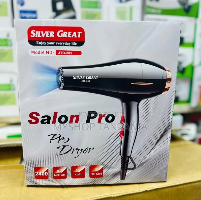 Silver Great Salon Pro Hair Dryer