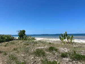 White Sand Beach Inauzwa Kigamboni Gezaulole