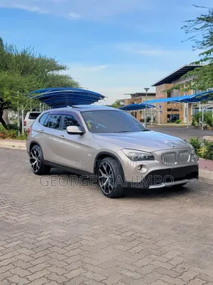 BMW X1 2011 Gold